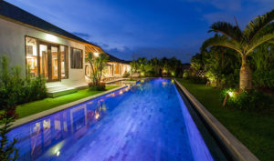 Swimming pool and garden by night
